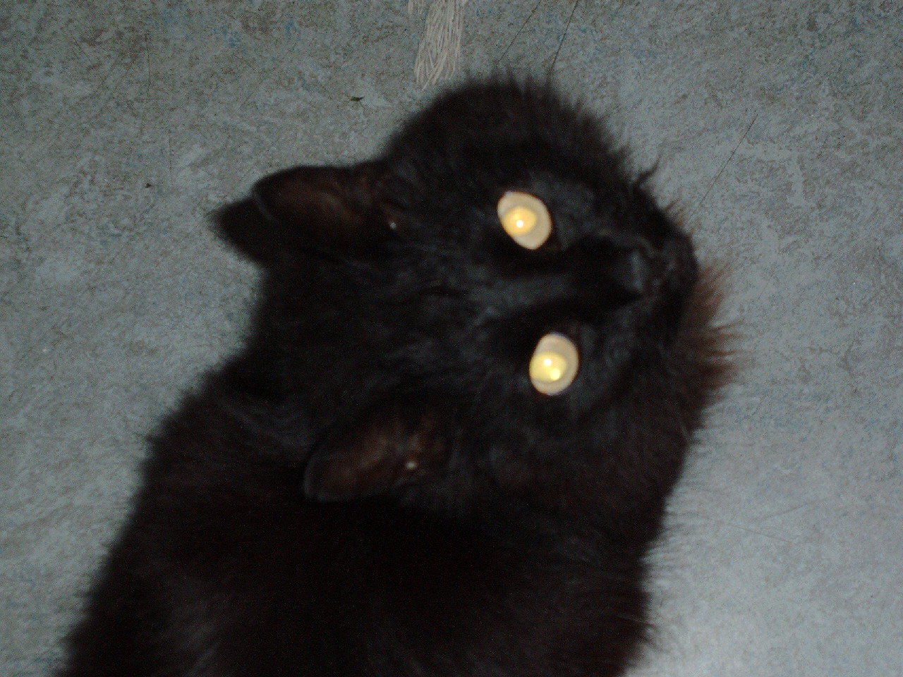imag0018.jpg